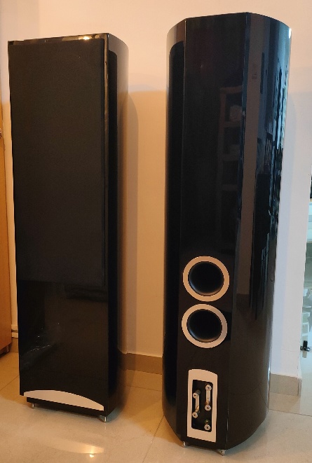 DC10 BACK-FRONT.jpg