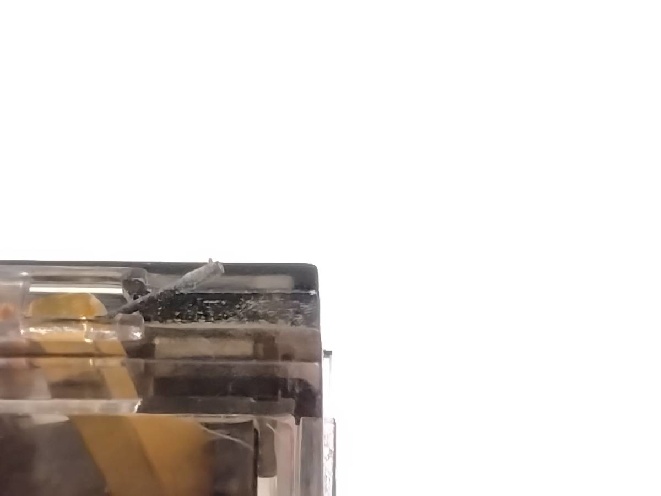 2e6cf87.jpg
