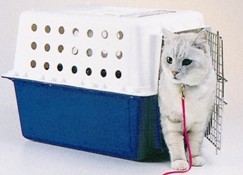 pet_cat_transport.jpg