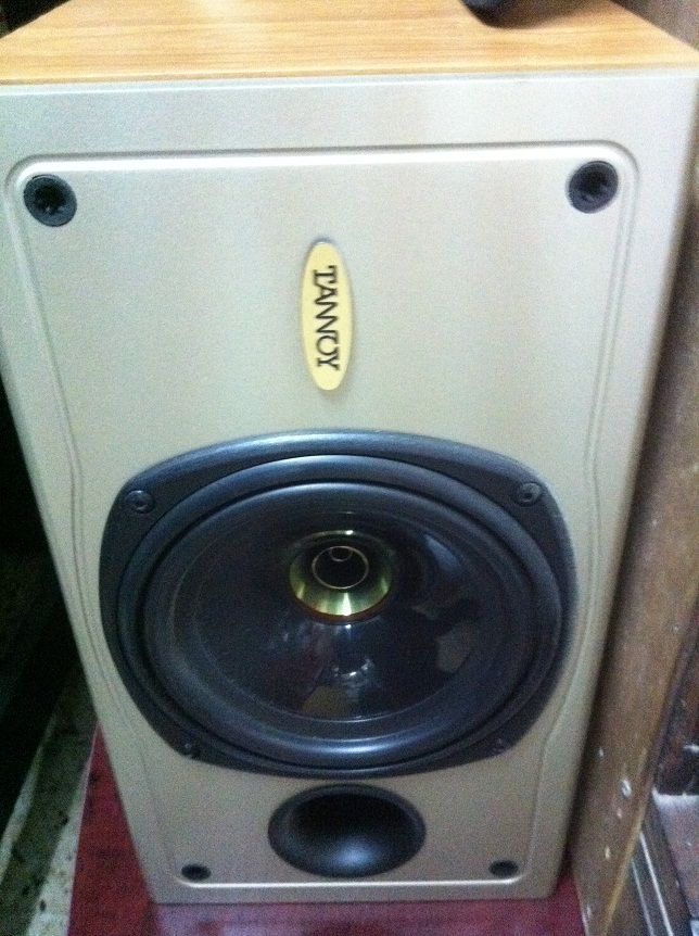 TANNOY CENTER1.jpg
