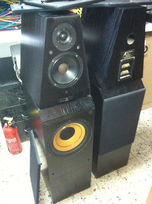 GERSHMAN SUB WOOFER AND X1.jpg