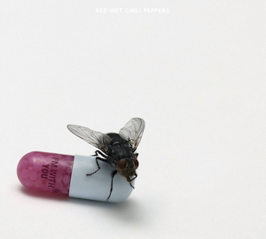 RHCP_I%27m_With_You_Cover.jpg
