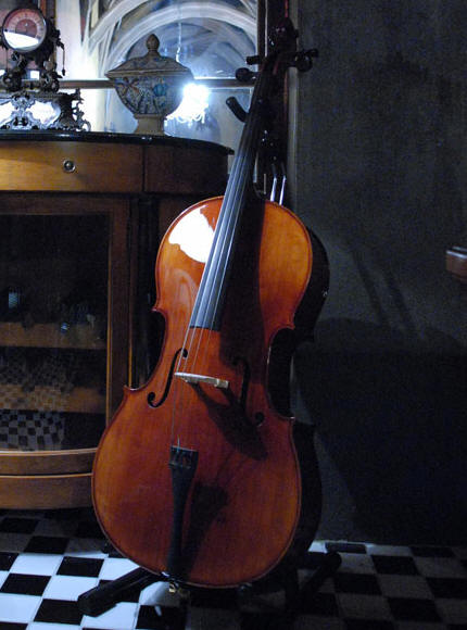 cellospeaker4.jpg
