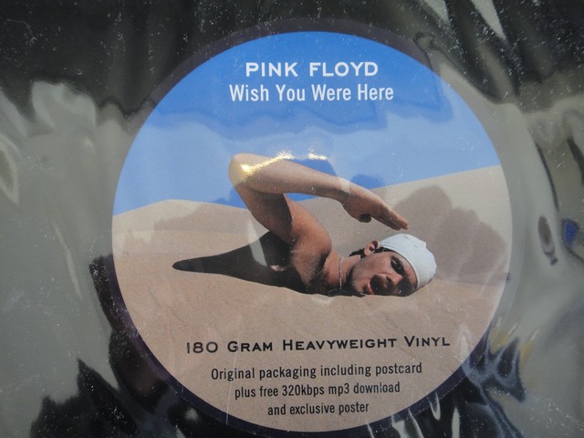 wish you 5.jpg