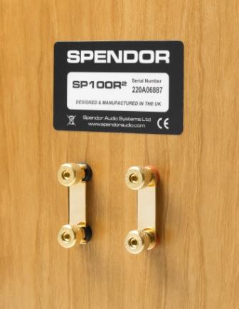 Spendor-SP100R2-REAR-PANEL.jpg
