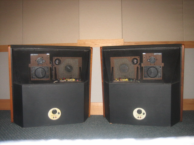 dahlquistdq10rear.jpg