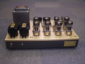 model2010img018.jpg