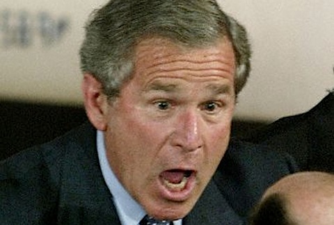 bush-shock.jpg