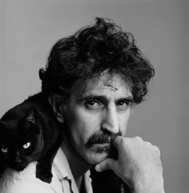 zappa cat.jpg