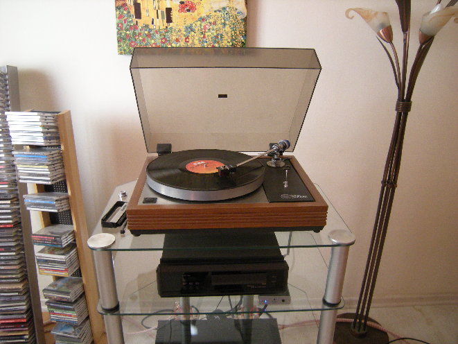 DSCN7715.JPG