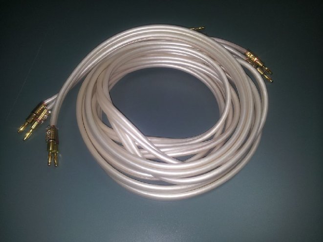 20130303_172901.jpg
