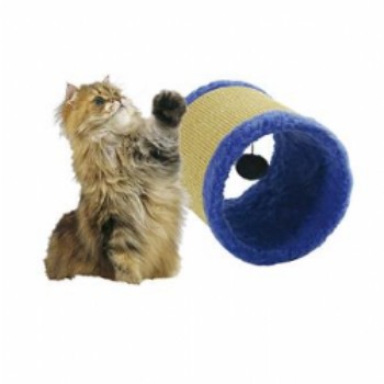 cat.JPG