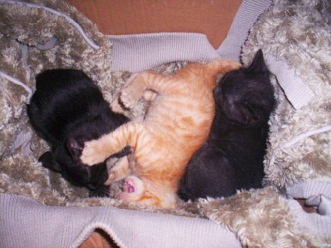 image001.jpg