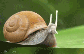 code-17_thumb.gif
