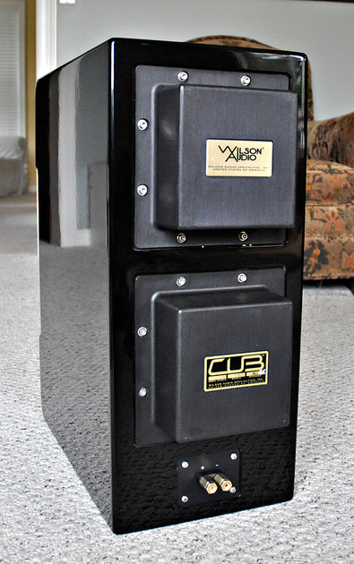 Cub_2_Rear.jpg