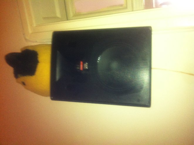 speakers.JPG
