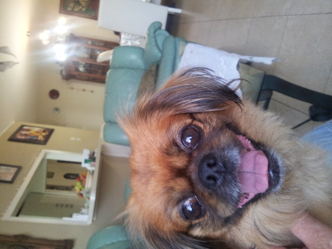 20130912_181203.jpg