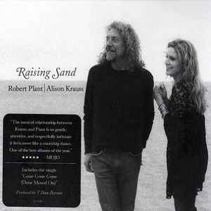 robert plant alison krause raising sand 180g 2 vinyl lp.jpg