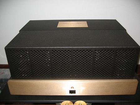 Golden t 1.jpg