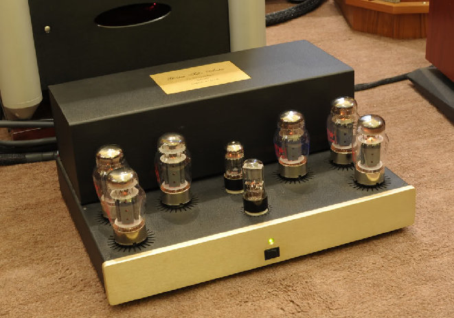 Golden t 4.jpg