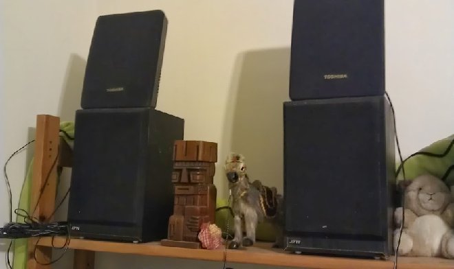 JPW monitors.jpg