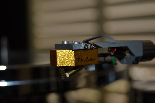DSC_0115.JPG
