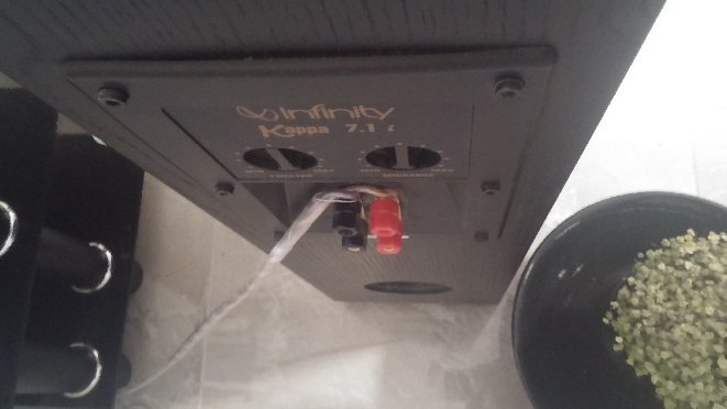 20140705_131540.jpg