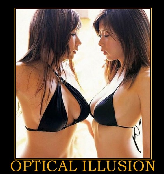 optical-illusion-malt-demotivational-poster-1261271075.jpg