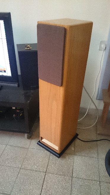 MOREL 2.JPG