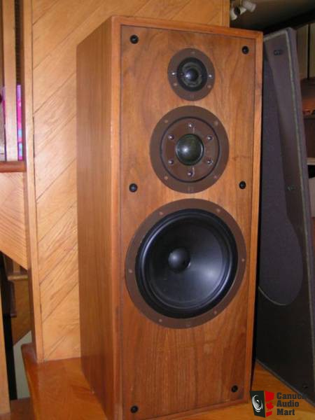 223372-celestion_ditton_66_series_ii.jpg