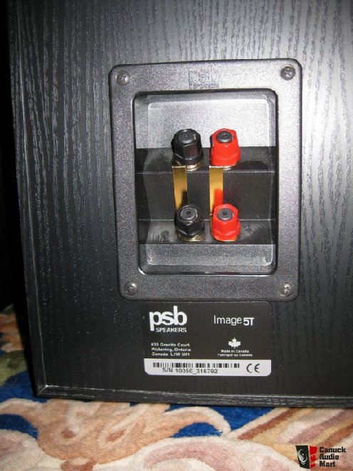 253840-psb_image_5t_tower_speakers_in_black.jpg