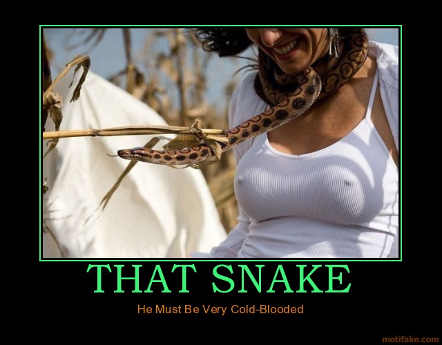 that-snake-snake-nips-demotivational-poster-1261096446.jpg