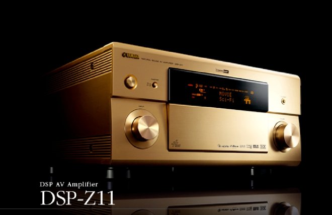 dspz111.jpg