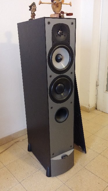 20150202_120317.jpg