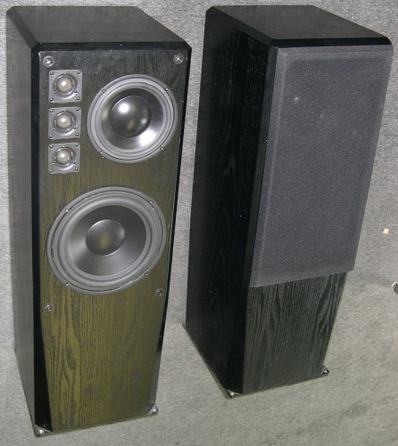 morel_music_first-705.JPG