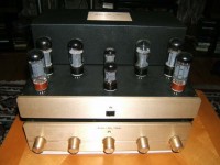 GOLDEN TUBE 40SE.jpg