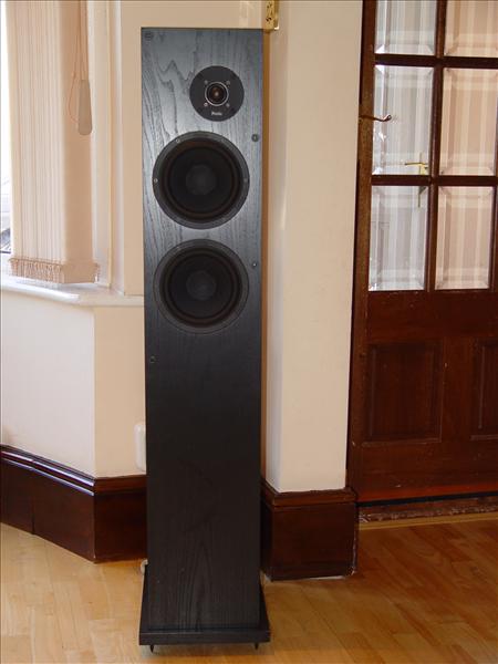 proac1.jpg