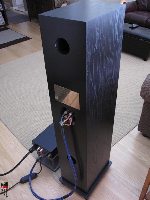 proac3.jpg