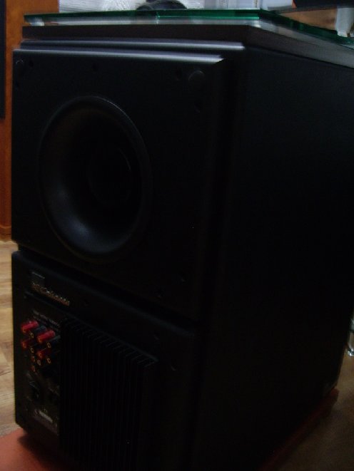 IMGP3543.JPG