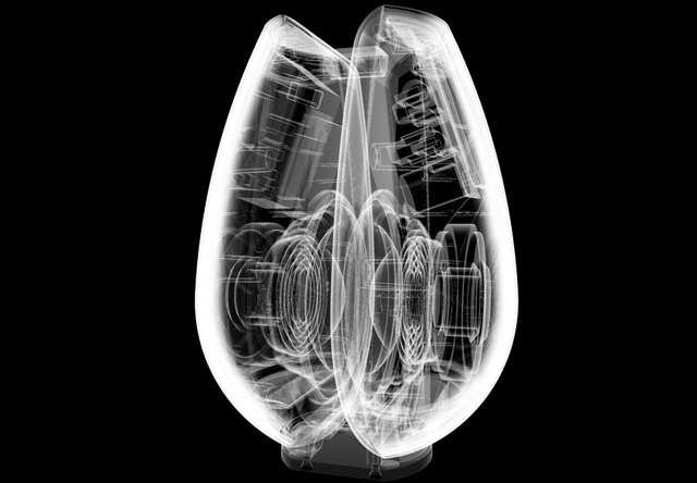 bl11xray.jpg