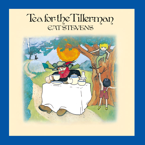 cat stevens tea for the tillerman 200g vinyl lp.jpg