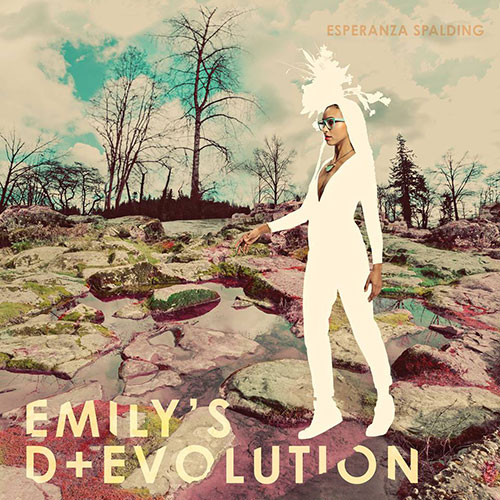 Emily's D+ Evolution.jpg