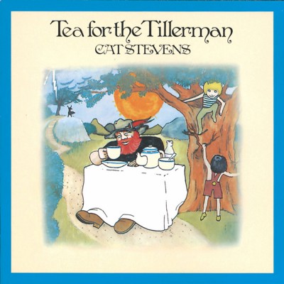 cat stevens.jpg