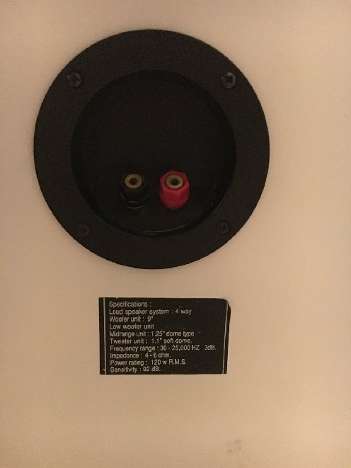 4.JPG