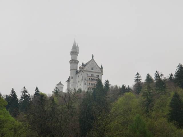 CIMG0245_small.jpg
