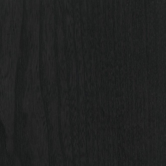 Black elm.jpg