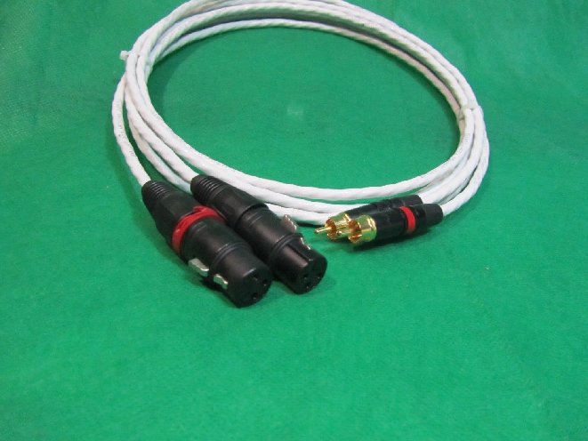 RCA 2 XLR.jpg