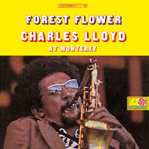 Charles Lloyd Forest Flower At Monterey.jpg