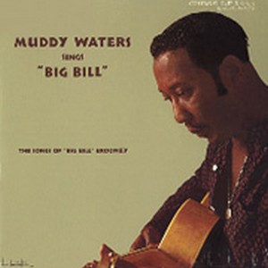 Muddy Waters Muddy Waters Sings Big Bill Broonzy 180g LP.jpg