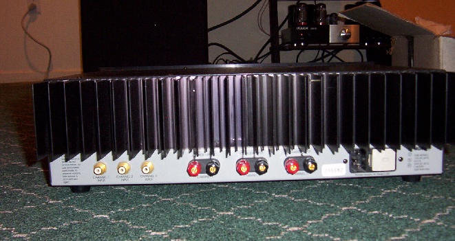 acurus2.jpg